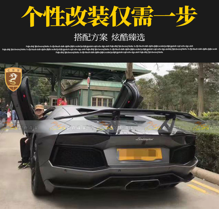 易龙_03.jpg