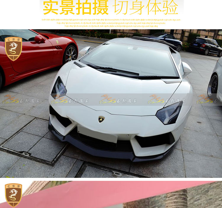 易龙_05.jpg