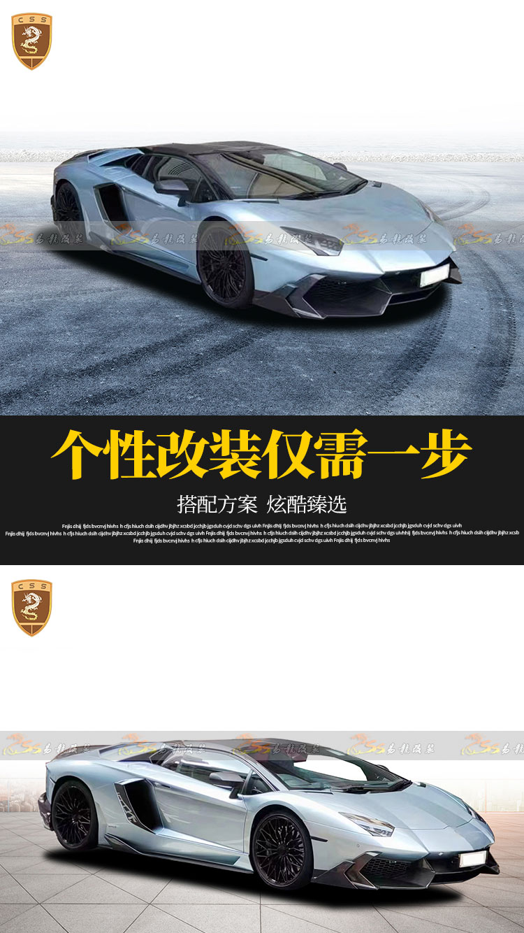 易龙_02.jpg